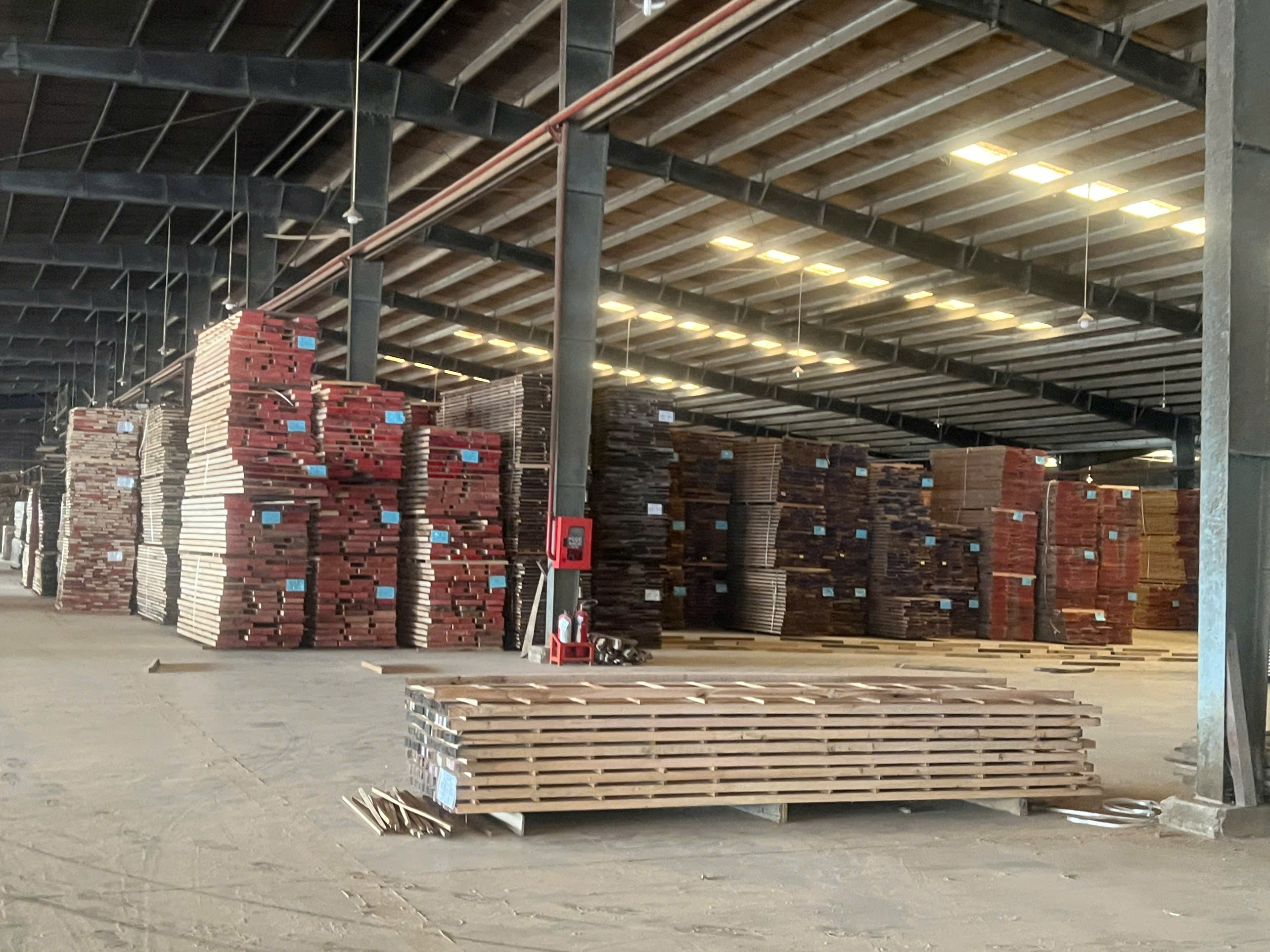 Production Area 15.jpg